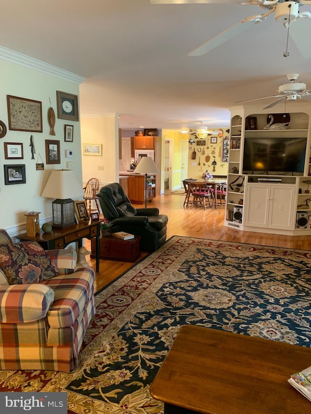 living room featuring ceiling fan, light wood-type flooring, and ornamental molding