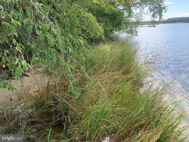 view of water feature