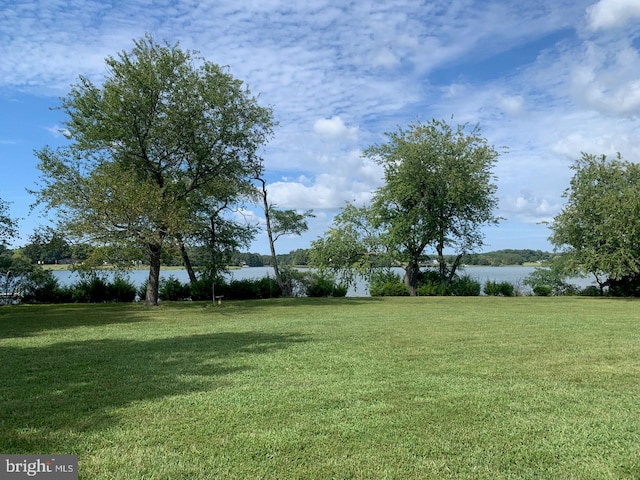 view of yard featuring a water view