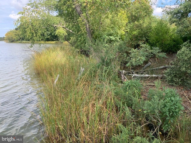 view of landscape featuring a water view