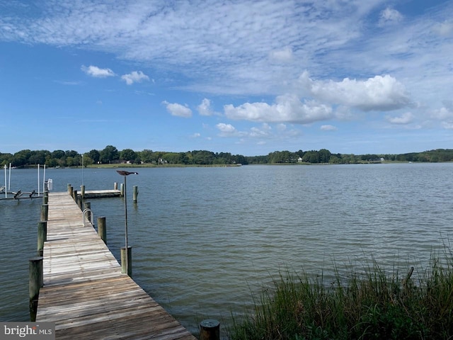 view of dock with a water view