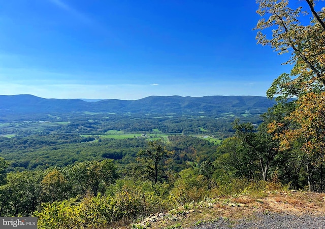1604 High Knob Rd, Old Fields, WV 26845 - view of mountain backdrop with a heavily wooded area