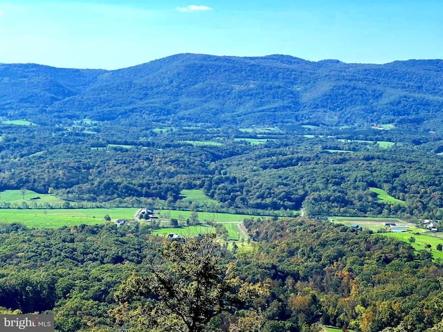 1604 High Knob Rd, Old Fields, WV 26845 - mountain view with a forest