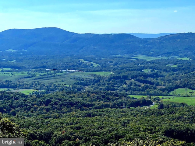 1604 High Knob Rd, Old Fields, WV 26845 - view of mountain backdrop featuring a forest