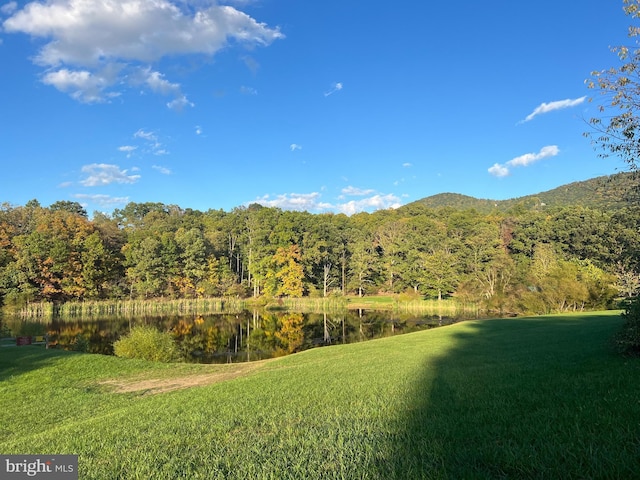 1604 High Knob Rd, Old Fields, WV 26845 - view of grassy yard with a water view and a wooded view
