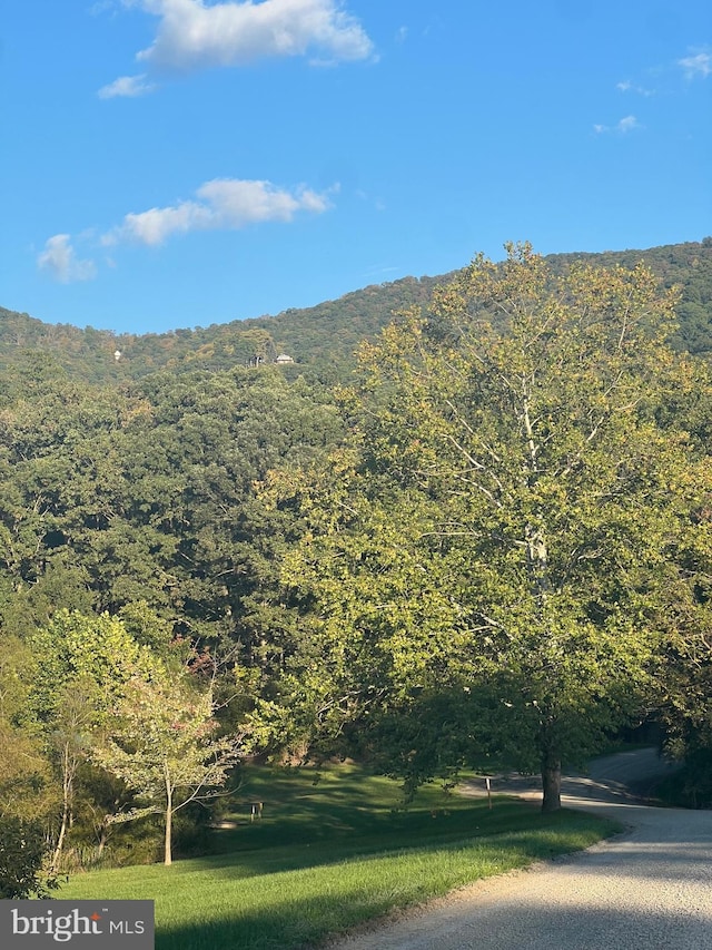 1604 High Knob Rd, Old Fields, WV 26845 - mountain view featuring a forest