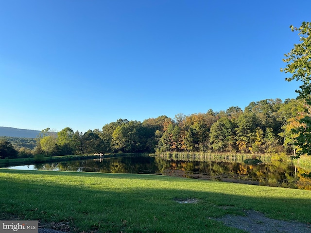 1604 High Knob Rd, Old Fields, WV 26845 - view of green lawn with a water view and a forest view