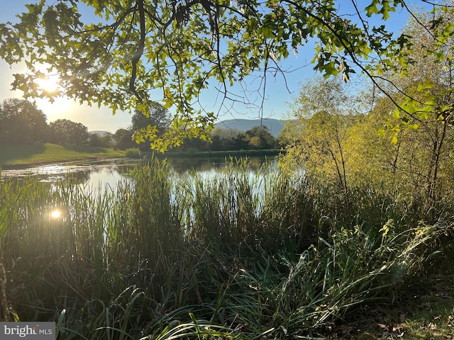 1604 High Knob Rd, Old Fields, WV 26845 - water view