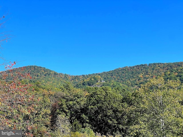 1604 High Knob Rd, Old Fields, WV 26845 - view of mountain backdrop featuring a heavily wooded area