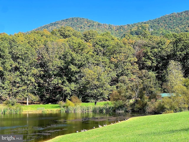 1604 High Knob Rd, Old Fields, WV 26845 - view of mountain backdrop featuring a forest and a nearby body of water