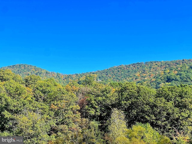 1604 High Knob Rd, Old Fields, WV 26845 - mountain view featuring a heavily wooded area