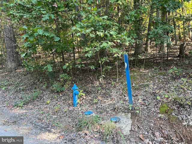 1604 High Knob Rd, Old Fields, WV 26845 - exterior view
