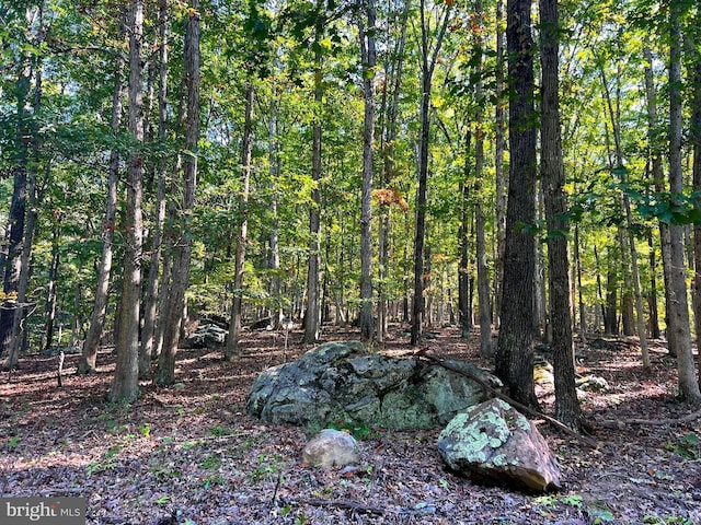 1604 High Knob Rd, Old Fields, WV 26845 - view of wooded area