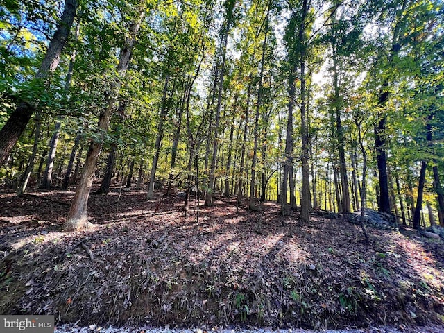 1604 High Knob Rd, Old Fields, WV 26845 - view of wooded area