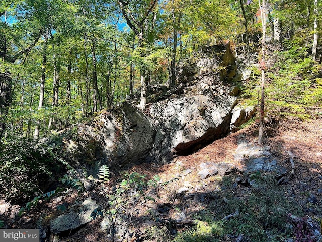 1604 High Knob Rd, Old Fields, WV 26845 - view of undeveloped land