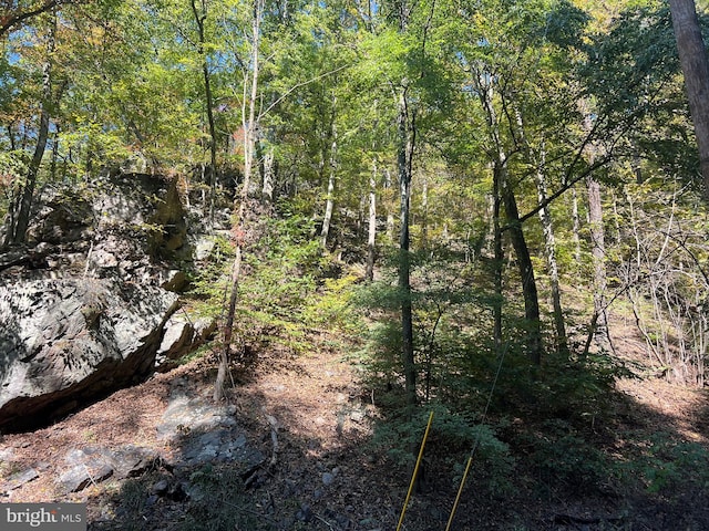 1604 High Knob Rd, Old Fields, WV 26845 - view of wooded area