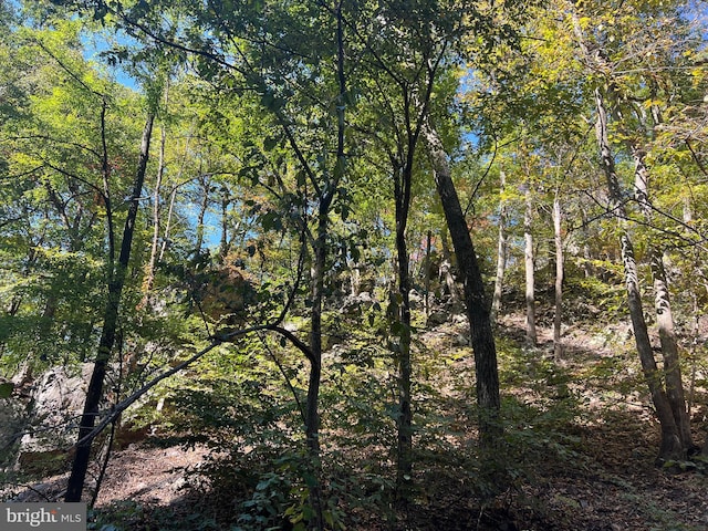 1604 High Knob Rd, Old Fields, WV 26845 - view of wooded area