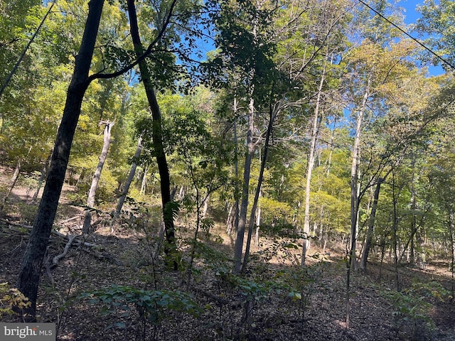 1604 High Knob Rd, Old Fields, WV 26845 - view of nature