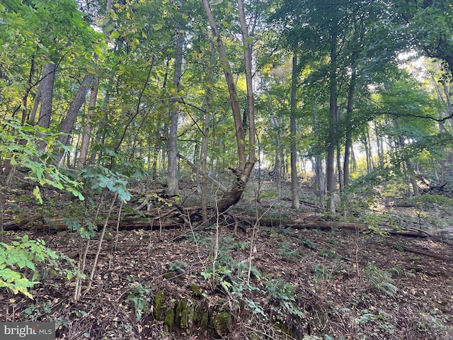 1604 High Knob Rd, Old Fields, WV 26845 - view of undeveloped land