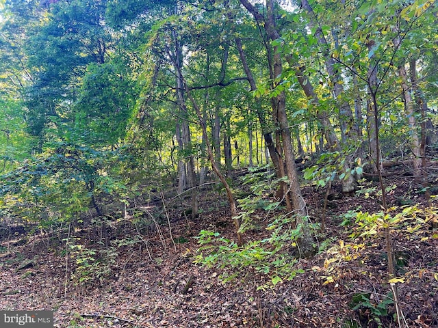 1604 High Knob Rd, Old Fields, WV 26845 - view of woods