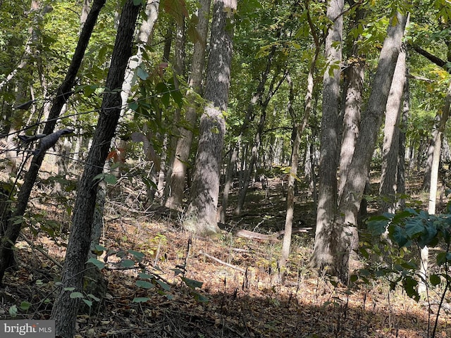 1604 High Knob Rd, Old Fields, WV 26845 - view of wooded area