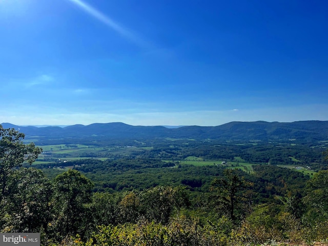 1604 High Knob Rd, Old Fields, WV 26845 - mountain view featuring a heavily wooded area