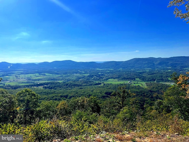 1604 High Knob Rd, Old Fields, WV 26845 - view of mountain backdrop featuring a heavily wooded area