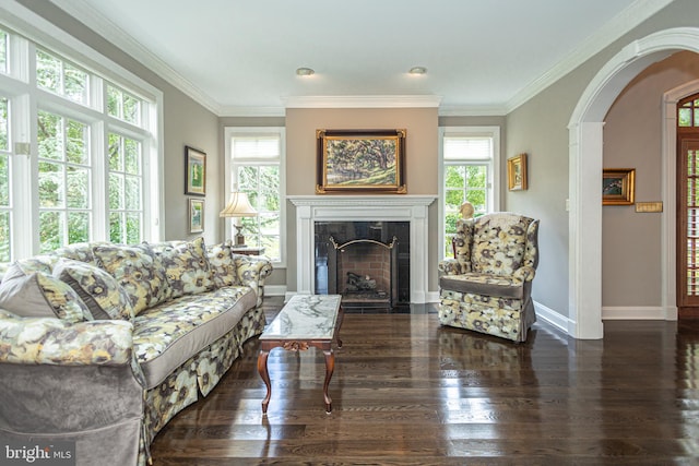 living room with dark hardwood / wood-style floors and ornamental molding