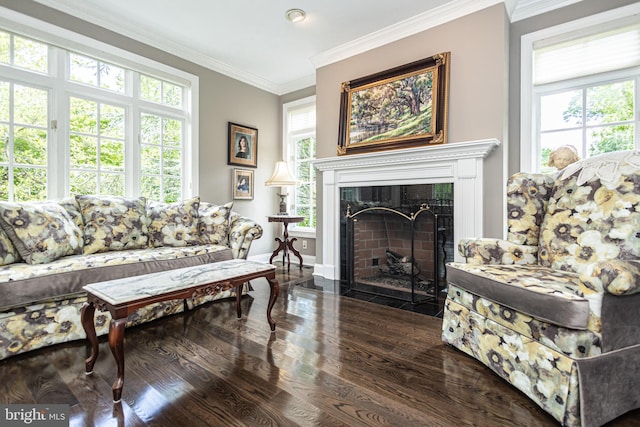 living room with ornamental molding, a tiled fireplace, and dark hardwood / wood-style floors