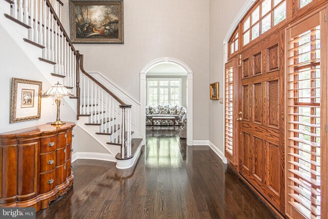 foyer entrance with dark hardwood / wood-style floors and a high ceiling