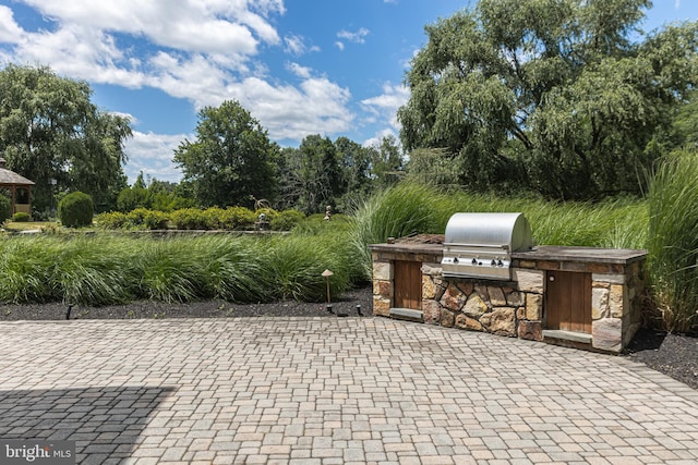 view of patio / terrace featuring area for grilling and exterior kitchen