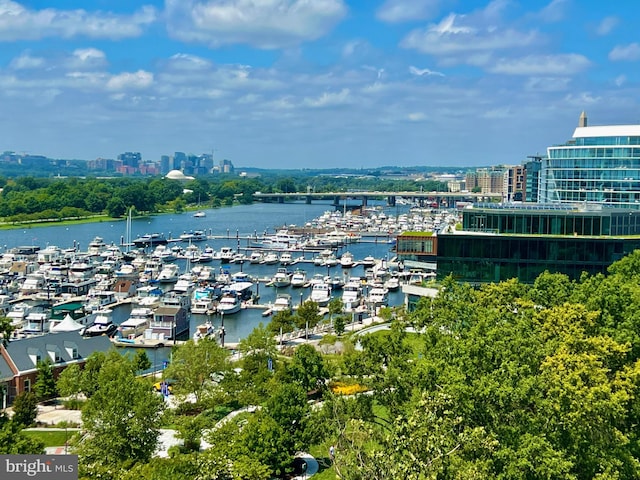 520 N Street Street SW Unit S622, Washington, DC 20024 - water view