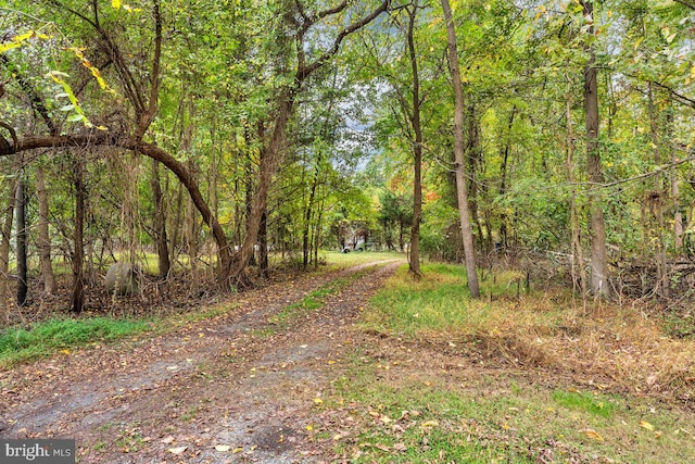 view of road