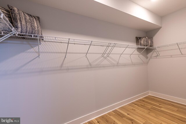 walk in closet with wood-type flooring