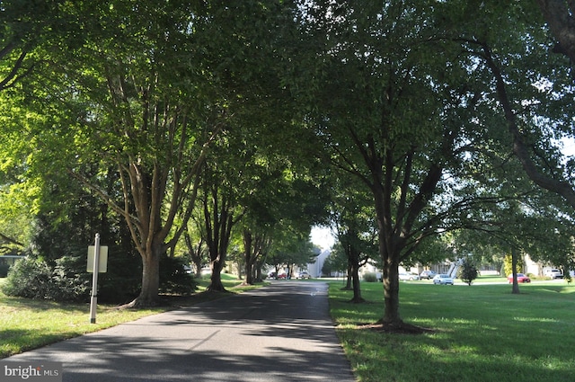 view of road