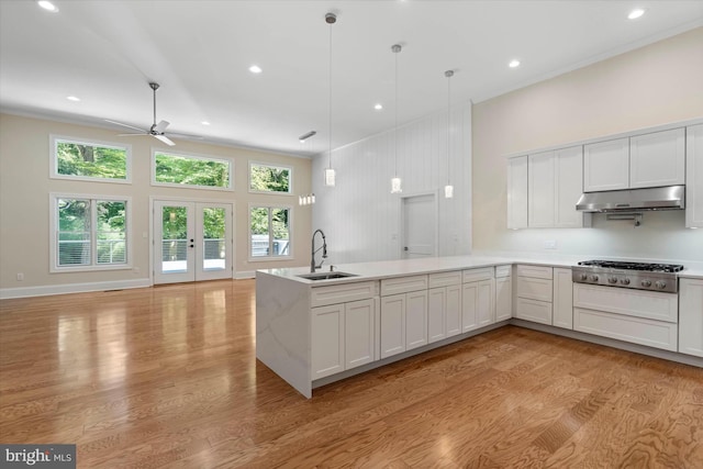 kitchen featuring sink, pendant lighting, white cabinets, and light hardwood / wood-style floors