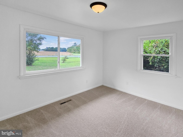 carpeted empty room with a healthy amount of sunlight