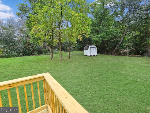 view of yard featuring a shed