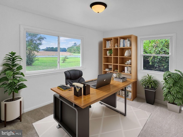 carpeted office space featuring a healthy amount of sunlight