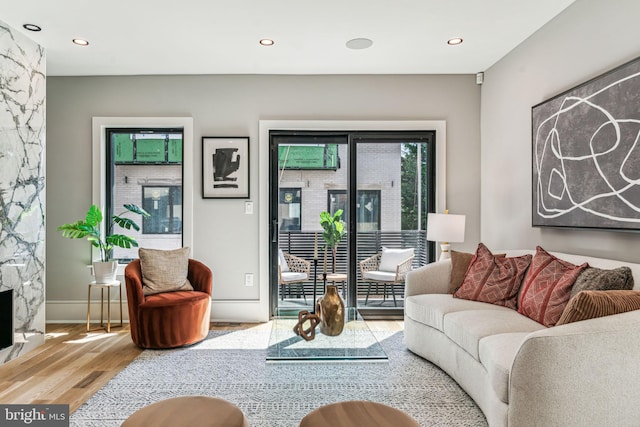 living room featuring a high end fireplace and light hardwood / wood-style flooring