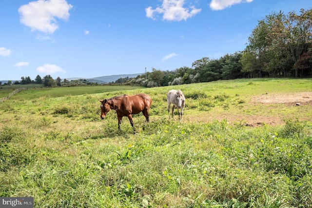 view of yard featuring a rural view