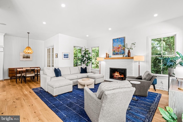 living room with a fireplace and hardwood / wood-style floors