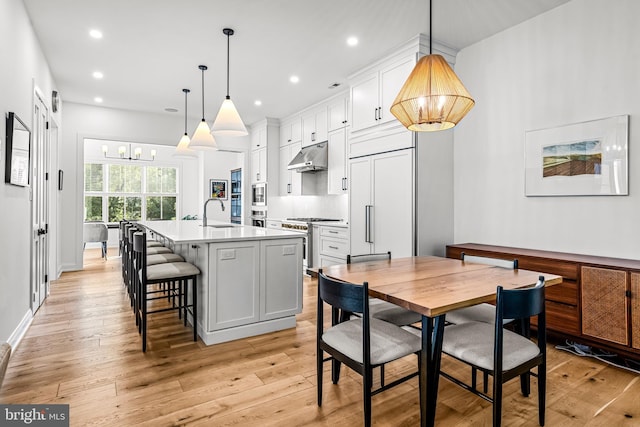 kitchen featuring pendant lighting, light hardwood / wood-style floors, a kitchen island with sink, white cabinets, and high quality appliances