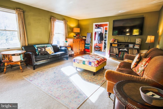 living room with a wealth of natural light and carpet