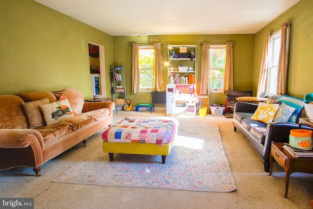 living room with carpet floors