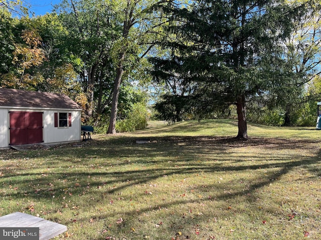 view of yard with a shed