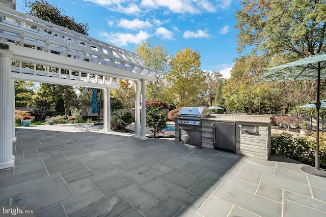 view of patio / terrace with exterior kitchen and area for grilling