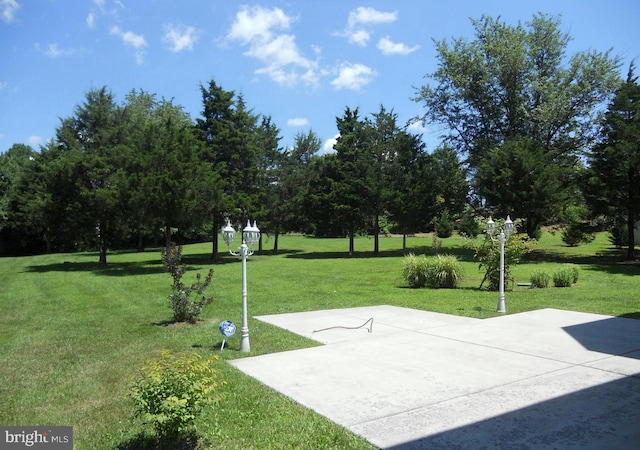 view of community featuring a yard