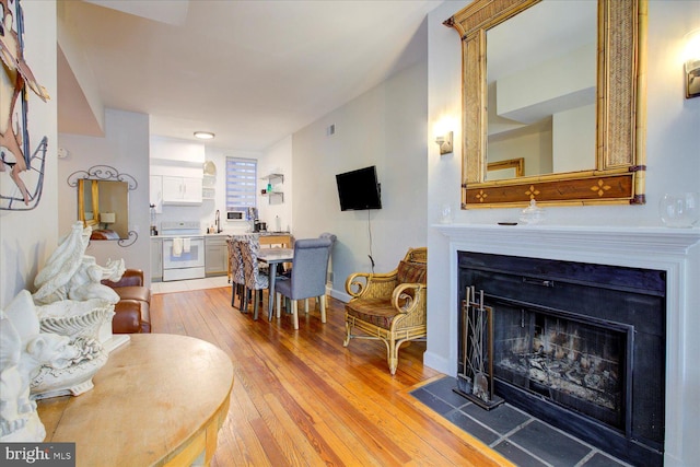 living room featuring wood-type flooring