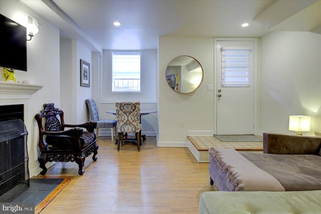 living room with light wood-type flooring